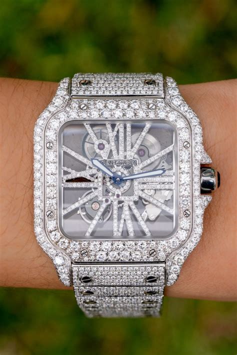 plain jane cartier|cartier skeleton watch black diamond.